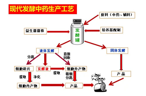 发酵中药增效降毒的原理